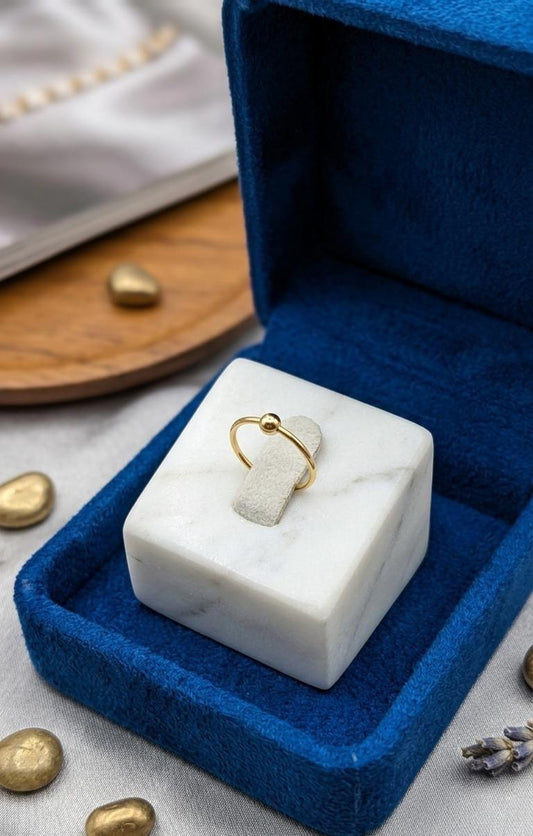 Minimalist Nose Ring